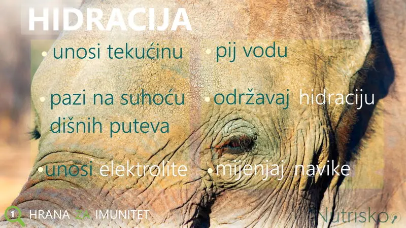 hidracija tijela