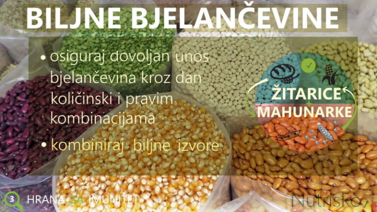biljne bjelančevine