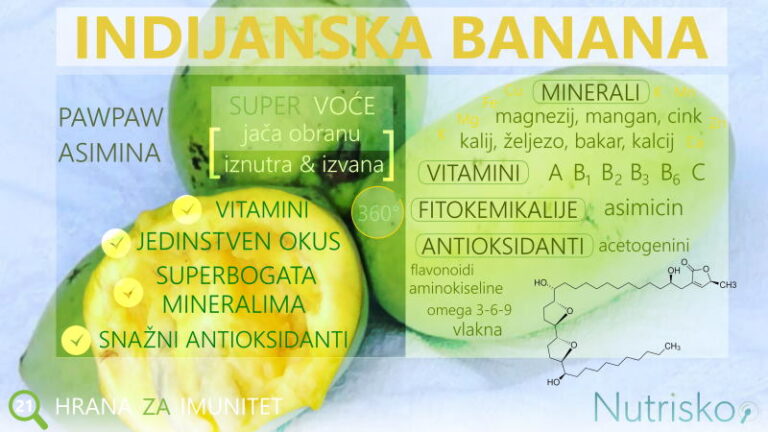 indijanska banana asimina