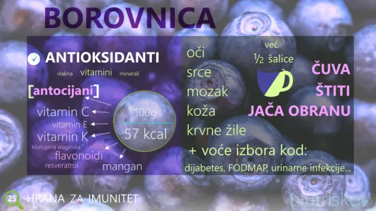 borovnice hranjive koristi
