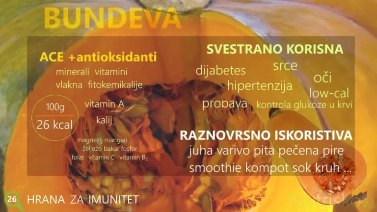 bundeva tikva buča