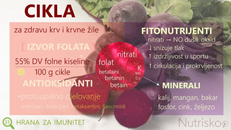 cikla