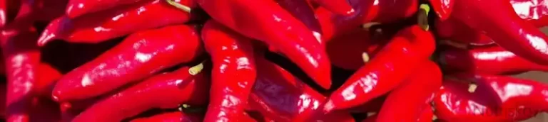 paprika Stela Muller