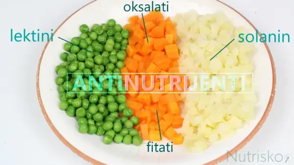antinutrijenti