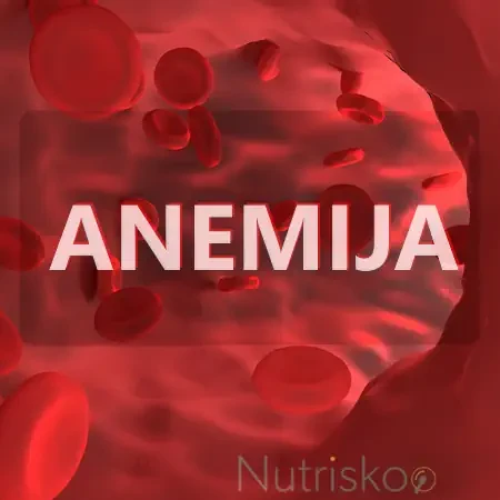 prehrana kod anemije
