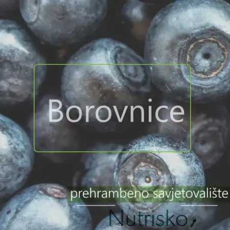 borovnice 450 x 450 borovnice