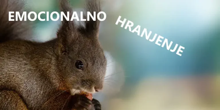 emocionalno hranjenje vjeverica