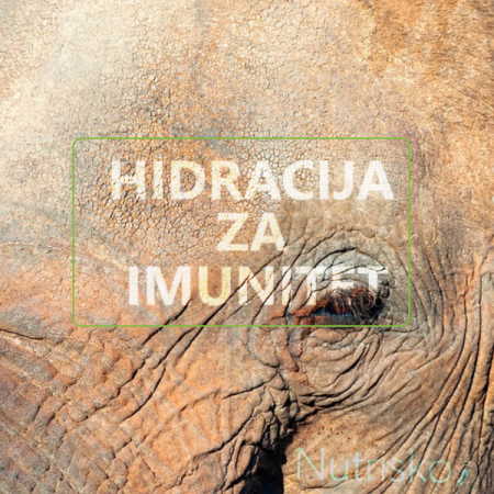 hidracija 450 x 450 hidracija za imunitet
