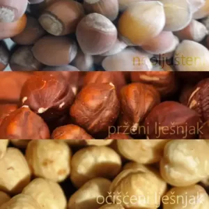 lješnjaci
