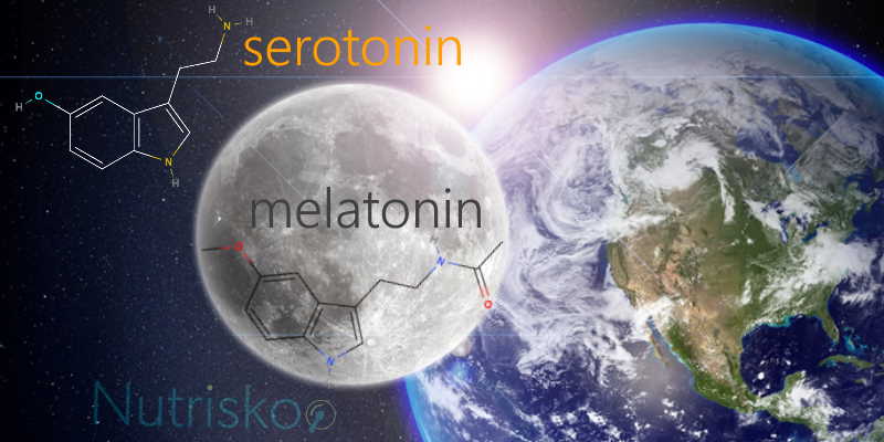 serotonin i melatonin