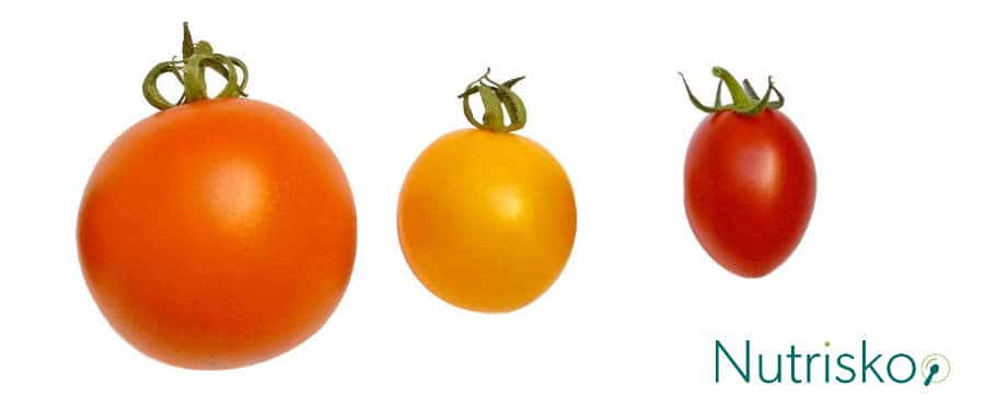 rajčica paradajz poma