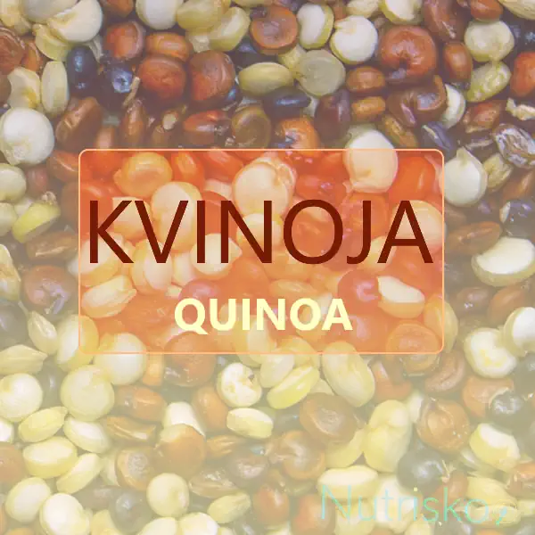 quinoa KVInOJA450 kvinoja quinoa zrno
