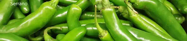 paprika ljuta serrano
