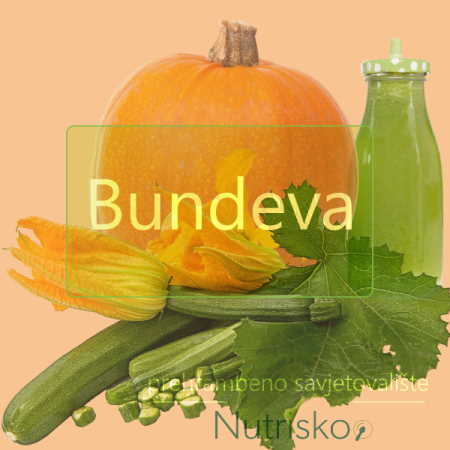 bundeva tikva tikvica zucchini
